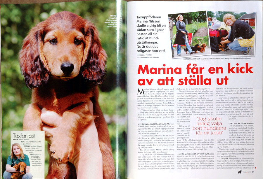 Härliga Hund nr 6, 2011